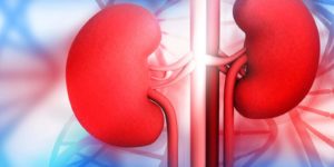 Kidney Failure: Causes, Symptoms & Treatment